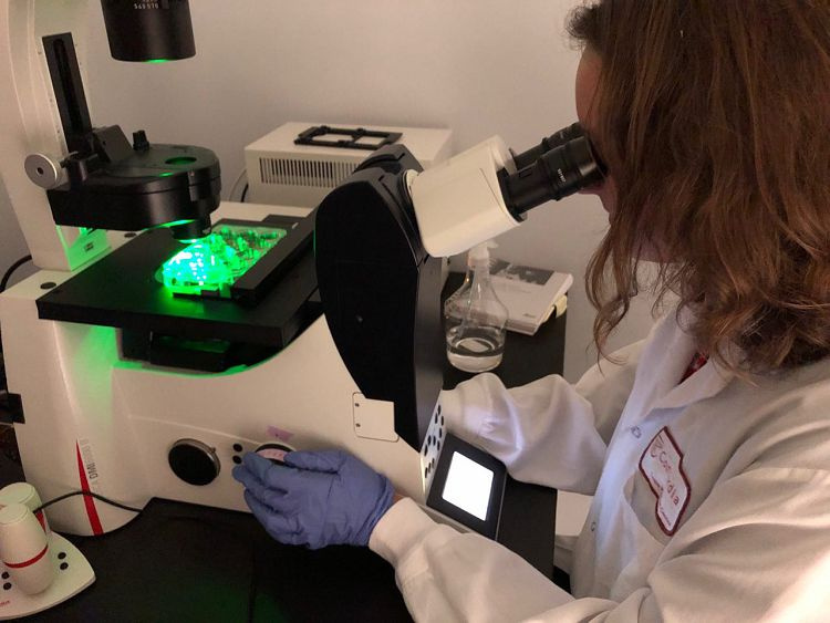 Студентка медичного факультету пройшла наукове стажування в Concordia University, м. Монреаль (Канада)