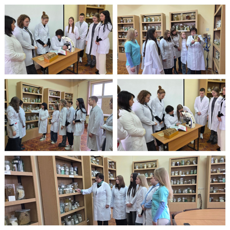 Заняття у патологоанатомічному музеї кафедри загальної та клінічної патології